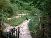 One of the flower gardens at Rose Manor