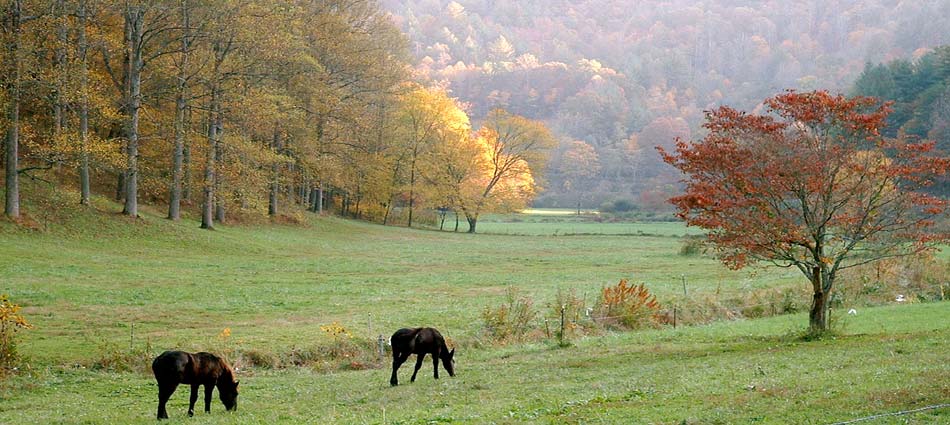 Smoky Mountain Rose Manor: slideshow photograph 4