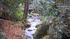 Great Smoky Mnt. National Park