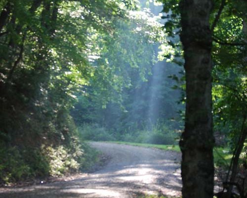 Hike & Walk Our Street