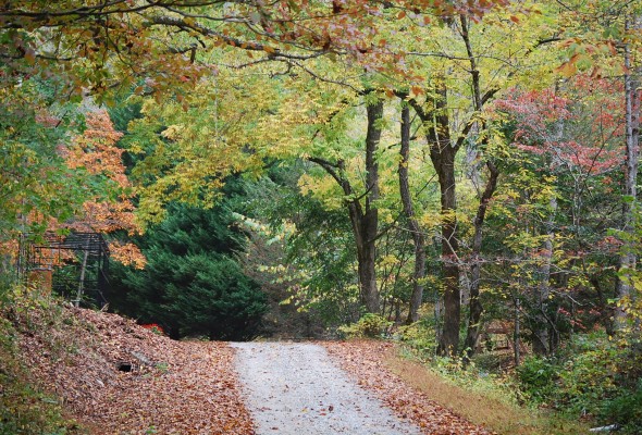 Hike in Autumn on Our Street