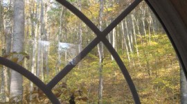 Smoky Mountain Cabin Window View
