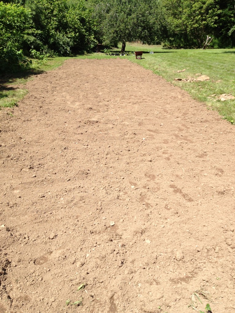 removing grass & rocks