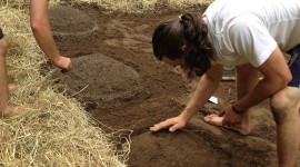 The Making of Cucumber Mounds