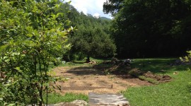 In the Organic Garden with Hay